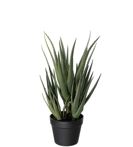 Aloe - Grön - 58 cm - www.frokenfraken.se
