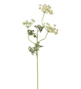 Flockblomma - Vit - 70 cm - www.frokenfraken.se