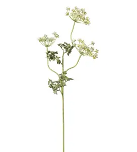 Flockblomma - Vit - 70 cm - www.frokenfraken.se