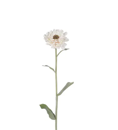 Zinnia - Vit - 58 cm - www.frokenfraken.se