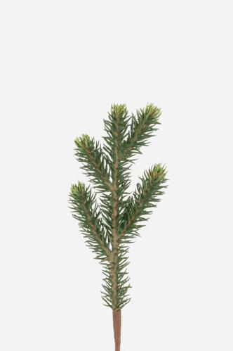 Gran - Grön - 21 cm - www.frokenfraken.se