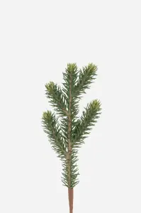 Gran - Grön - 21 cm - www.frokenfraken.se