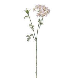 Blomsterkörvel - Rosa - 73 cm - www.frokenfraken.se