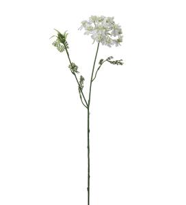 Blomsterkörvel - Vit - 73 cm - www.frokenfraken.se