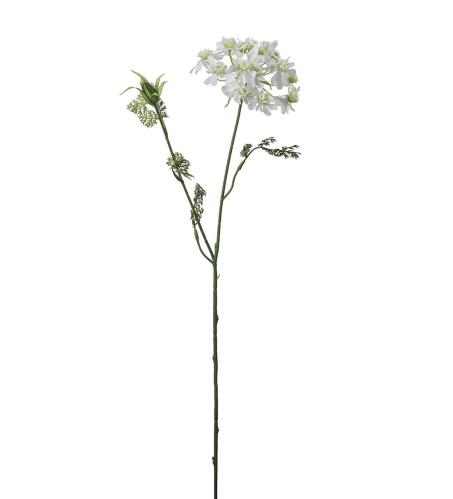 Blomsterkörvel - Vit - 73 cm - www.frokenfraken.se