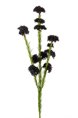 Sedum - Svart - 55 cm - www.frokenfraken.se