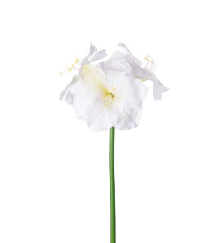 Amaryllis - Cream - 65 cm - www.frokenfraken.se