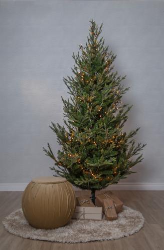 Julgran Uppsala - 210 cm - Utomhus & Inomhusbruk - www.frokenfraken.se