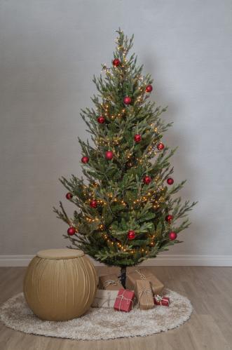 Julgran Uppsala - 210 cm - Utomhus & Inomhusbruk - www.frokenfraken.se