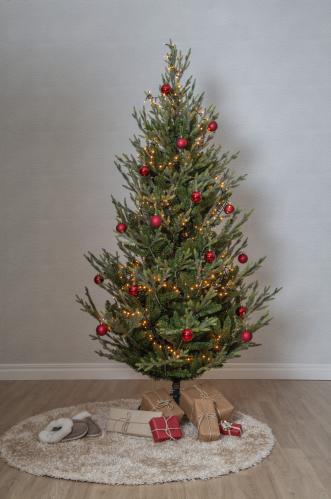Julgran Uppsala - 210 cm - Utomhus & Inomhusbruk - www.frokenfraken.se