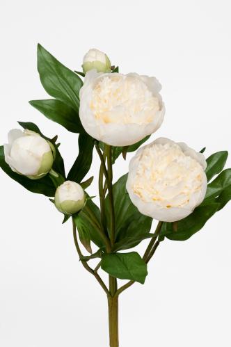 Pion - Vit - 40 cm - www.frokenfraken.se