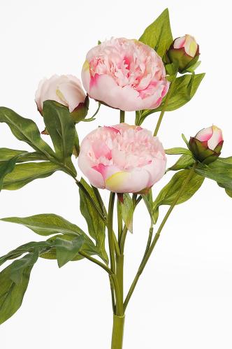 Pion - Rosa - 40 cm - www.frokenfraken.se