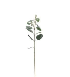 Eucalyptus - Grå - 87 cm - www.frokenfraken.se