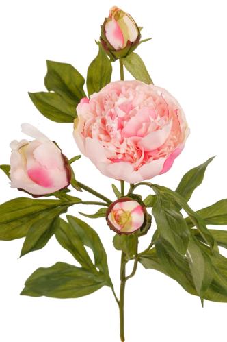 Pion - Rosa - 65 cm - www.frokenfraken.se