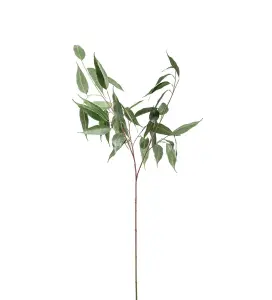 Eucalyptus - Grå - 110 cm - www.frokenfraken.se