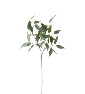 Eucalyptus - Grön - 110 cm - www.frokenfraken.se