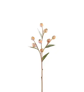 Eucalyptuskvist med bär - Beige - 65 cm - www.frokenfraken.se