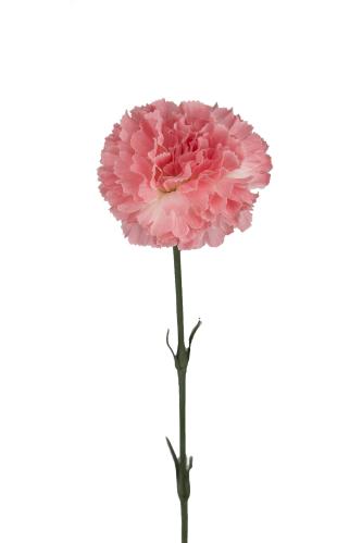 Nejlika - Rosa - 55 cm - www.frokenfraken.se
