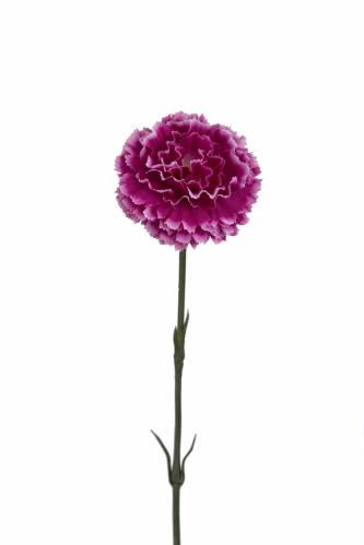 Nejlika - Lila - 55 cm - www.frokenfraken.se