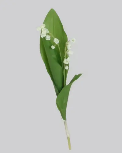 Liljekonvalj - Naturtrogen - 20 cm - www.frokenfraken.se