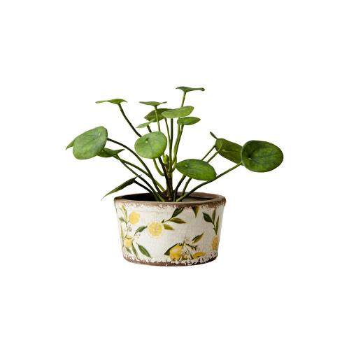 Kruka S - Citron - Vit/grön/gul - Ø17 x 9 cm - www.frokenfraken.se