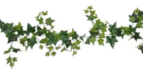 Murgröna - Girlang - Grön - 120 cm - www.frokenfraken.se