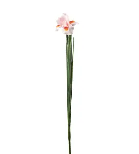 Iris - Rosa - 68 cm - www.frokenfraken.se