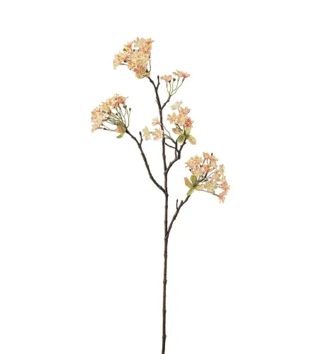 Lönnblomma - Persika - 70 cm - www.frokenfraken.se
