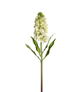 Lövkoja - Grön - 70 cm - www.frokenfraken.se