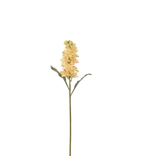 Lövkoja - Gul - 53 cm - www.frokenfraken.se