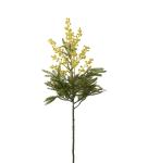 Mimosa - Gul - 68 cm - www.frokenfraken.se