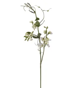 Luktärt - Vit - 69 cm - www.frokenfraken.se