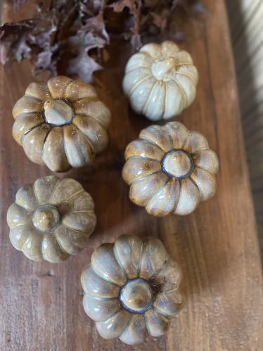 Pumpa - stående - beige/brun - Ø10 x 9 cm - www.frokenfraken.se