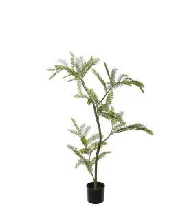 Mimosa Pudica - Grön - 110 cm - www.frokenfraken.se