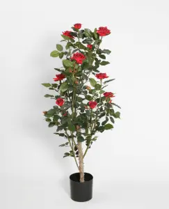 Rosenträd - Röd - 120 cm - www.frokenfraken.se