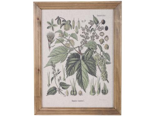 Tavla - Blomstermotiv - Med ram - 43 x 33 cm - www.frokenfraken.se