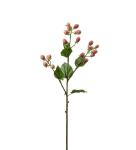 Mullbärskvist - Rosa - 65 cm - www.frokenfraken.se