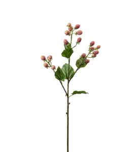 Mullbärskvist - Rosa - 65 cm - www.frokenfraken.se