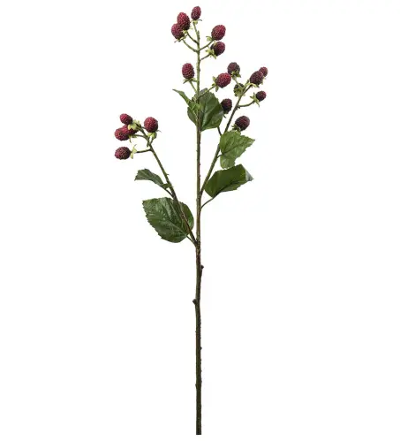 Mullbärskvist - Röd - 65 cm - www.frokenfraken.se