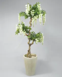 Wisteria - Vit - 170 cm - www.frokenfraken.se