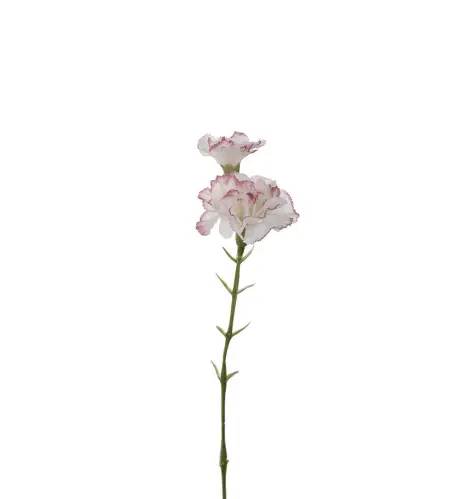 Nejlika - Rosa - 31 cm - www.frokenfraken.se
