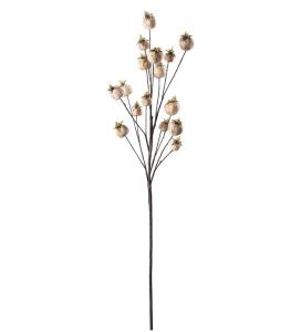 Vallmokapsel - Cream - 75 cm - www.frokenfraken.se