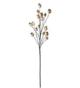 Vallmokapsel - Cream - 75 cm - www.frokenfraken.se