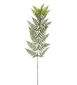 Ormbunksblad - Grön - 180 cm - www.frokenfraken.se