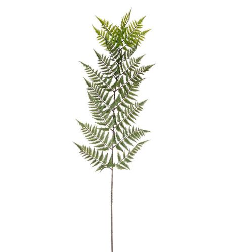 Ormbunksblad - Grön - 180 cm - www.frokenfraken.se