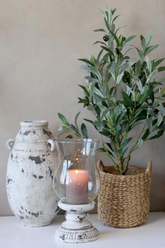 Olivträd - 73 cm - www.frokenfraken.se