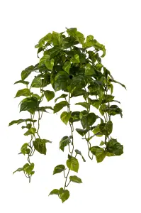 Gullranka - Grön - 30 cm - www.frokenfraken.se