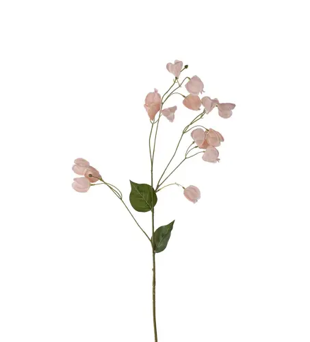 Physalis - Persika - 85 cm - www.frokenfraken.se