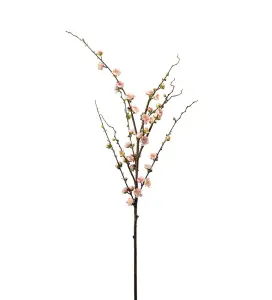 Plommonblom - Rosa - 120 cm - www.frokenfraken.se