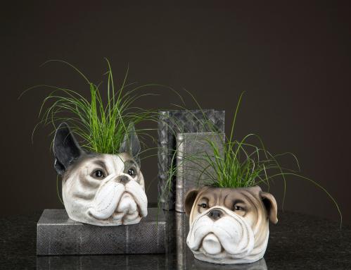 Kruka - Bulldog Grå - 21 x 21 cm - www.frokenfraken.se